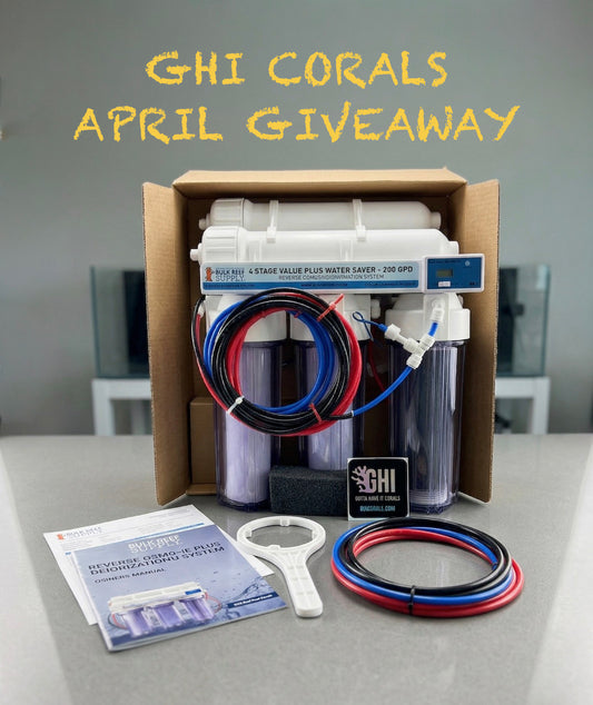 WYSIWYG GHI CORALS APRIL GIVEAWAY! DETAILS IN CAPTION!
