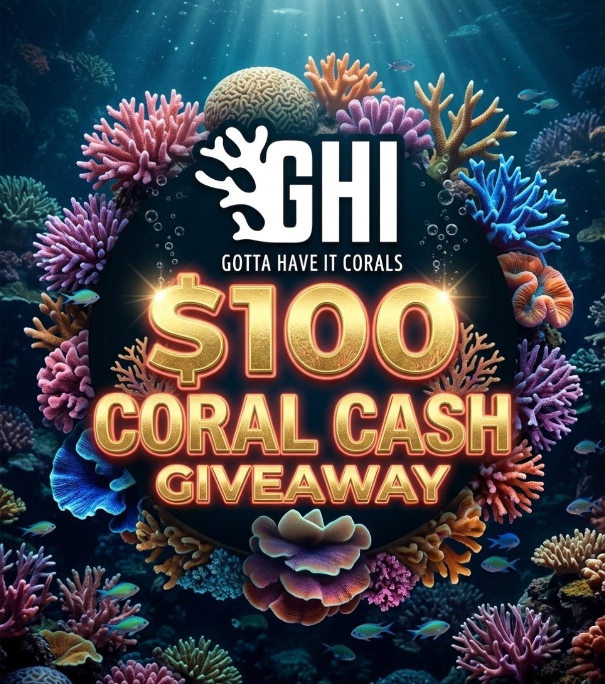 WYSIWYG GHI CORALS JUNE GIVEAWAY! DETAILS IN CAPTION!