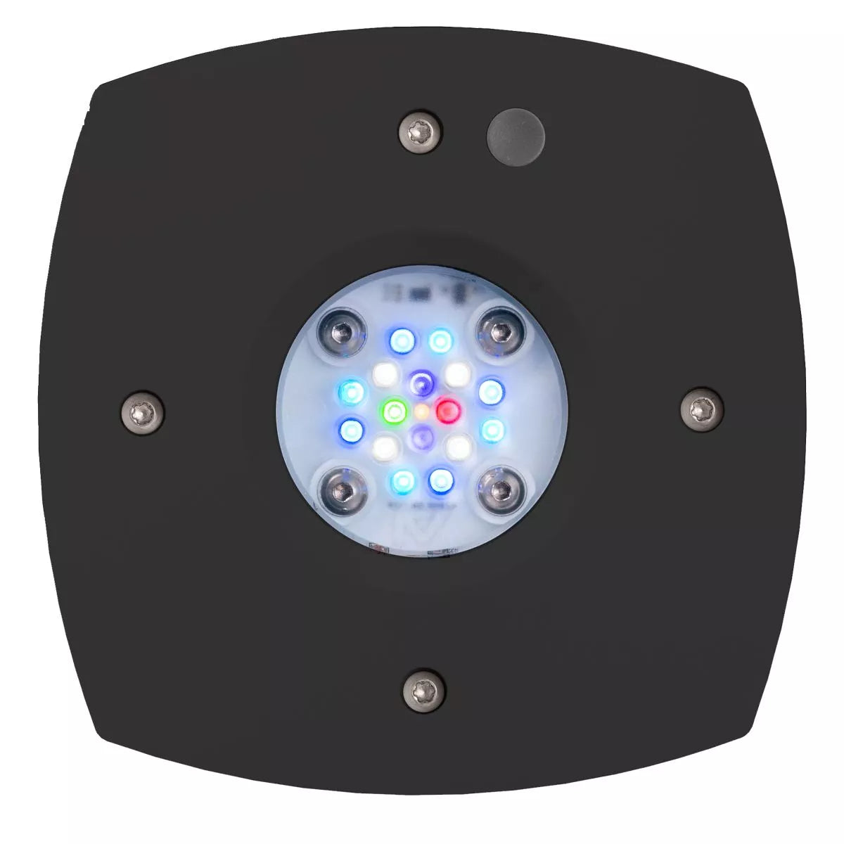 AquaIllumination Prime 16 HD LED Reef Light (Black)